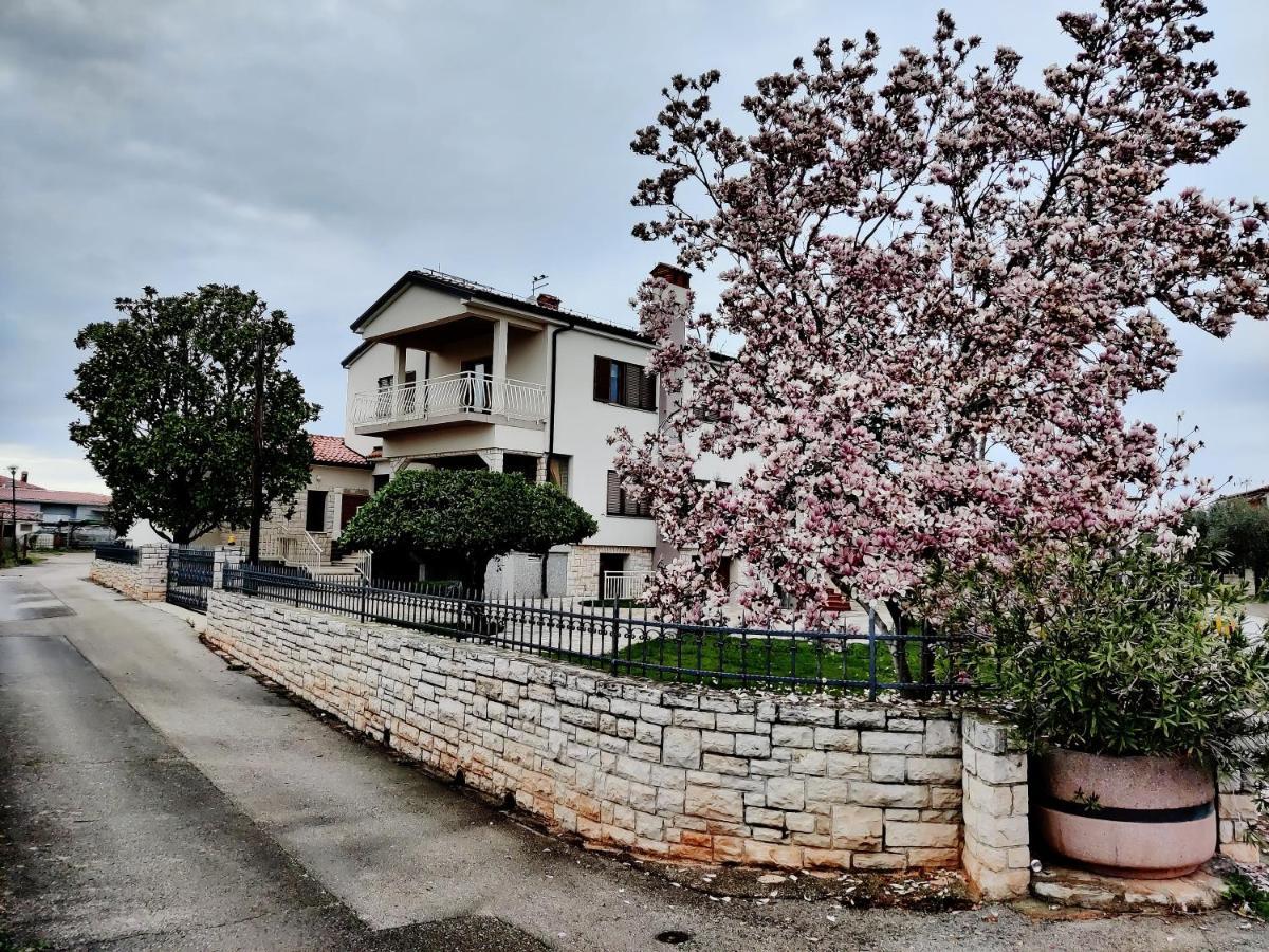 אומאג Apartments Vili מראה חיצוני תמונה